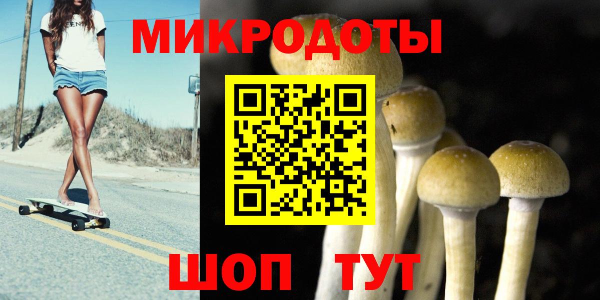 Псилоцибиновые грибы MAGIC MUSHROOMS  Вход с VPN  Туапсе  Галлюциногенные грибы Psilocybe 